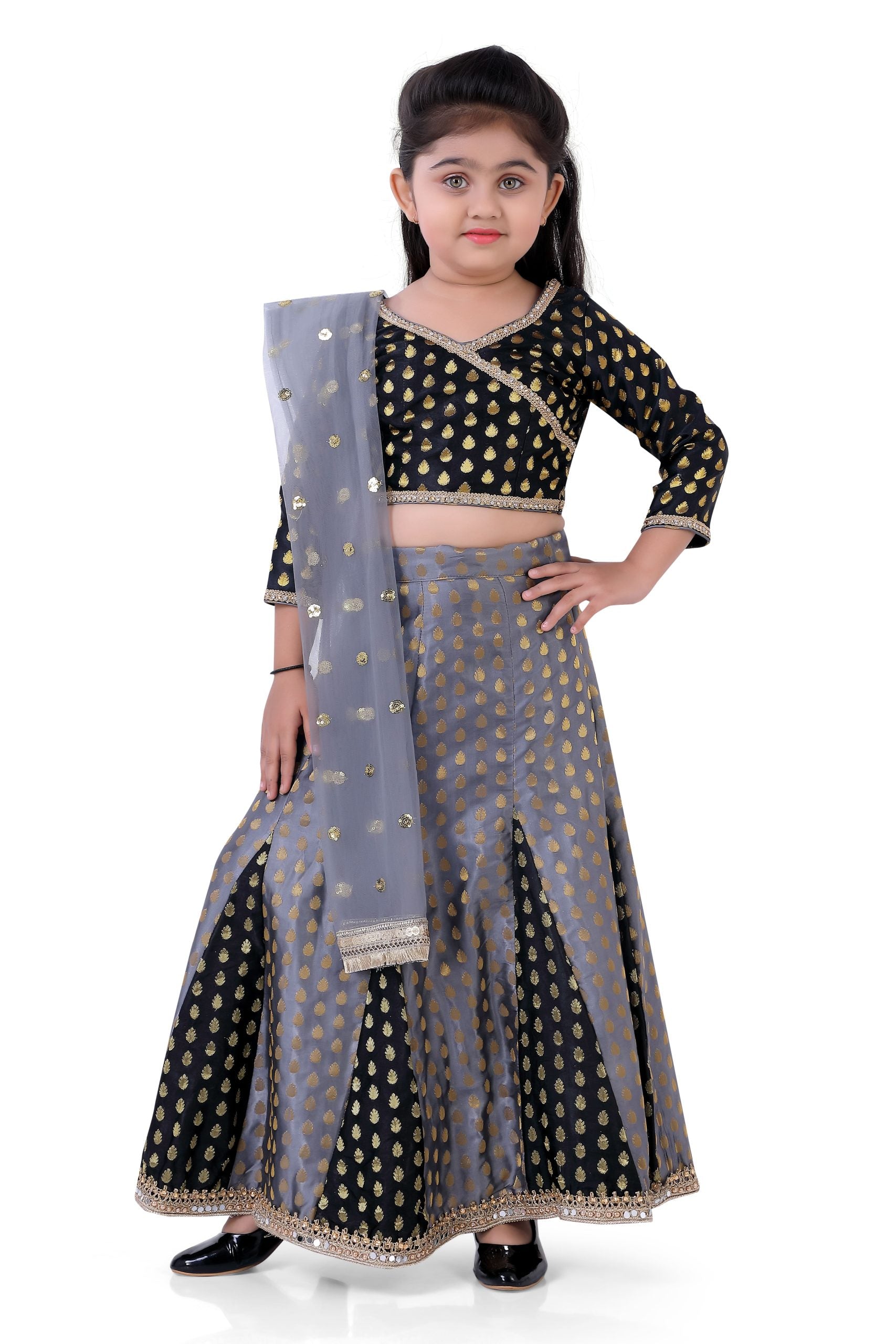 Ethnic Two Mix Printed Kali Flared Banarasi brocade Ghaghra Choli