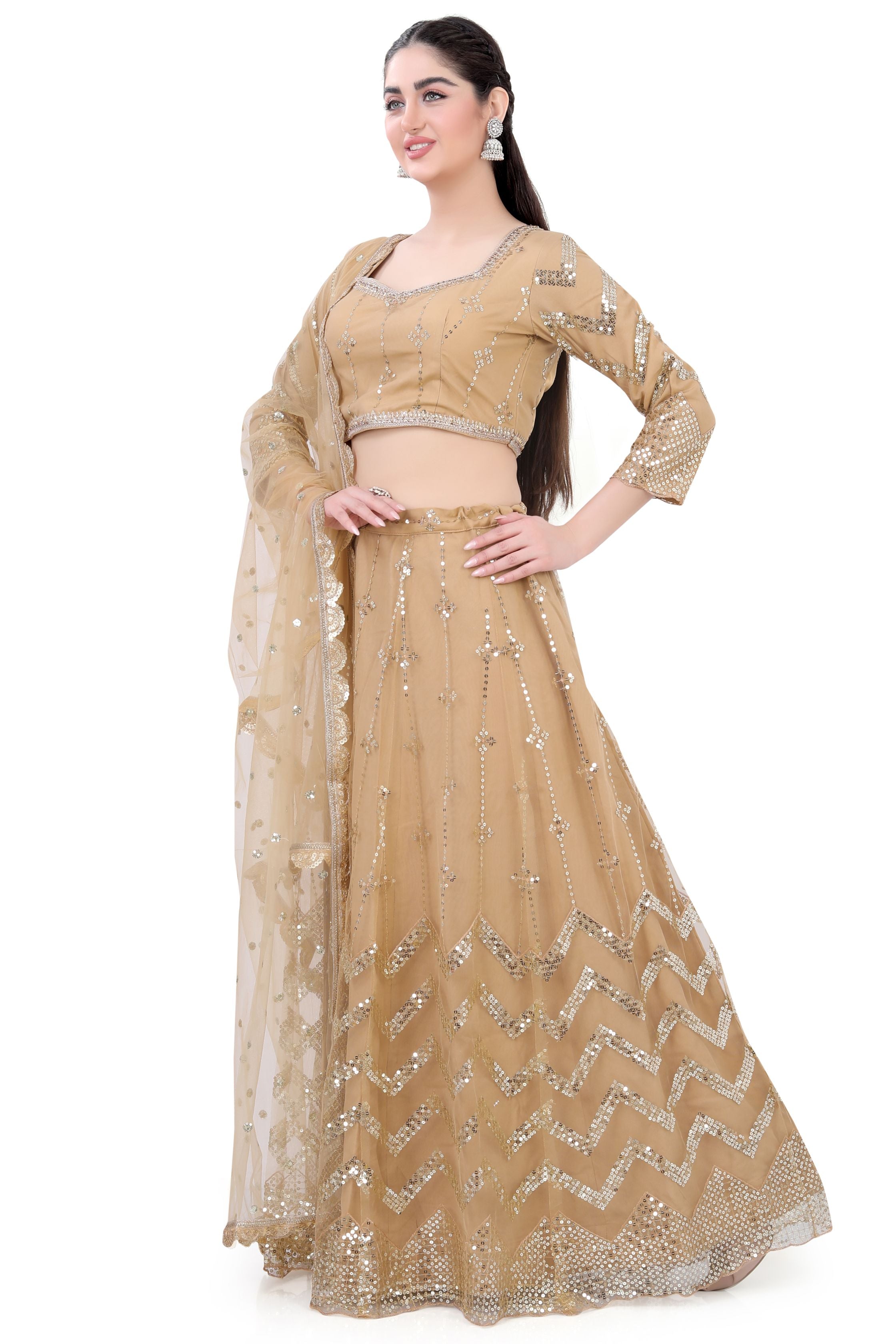 Gold Net Lehenga Choli