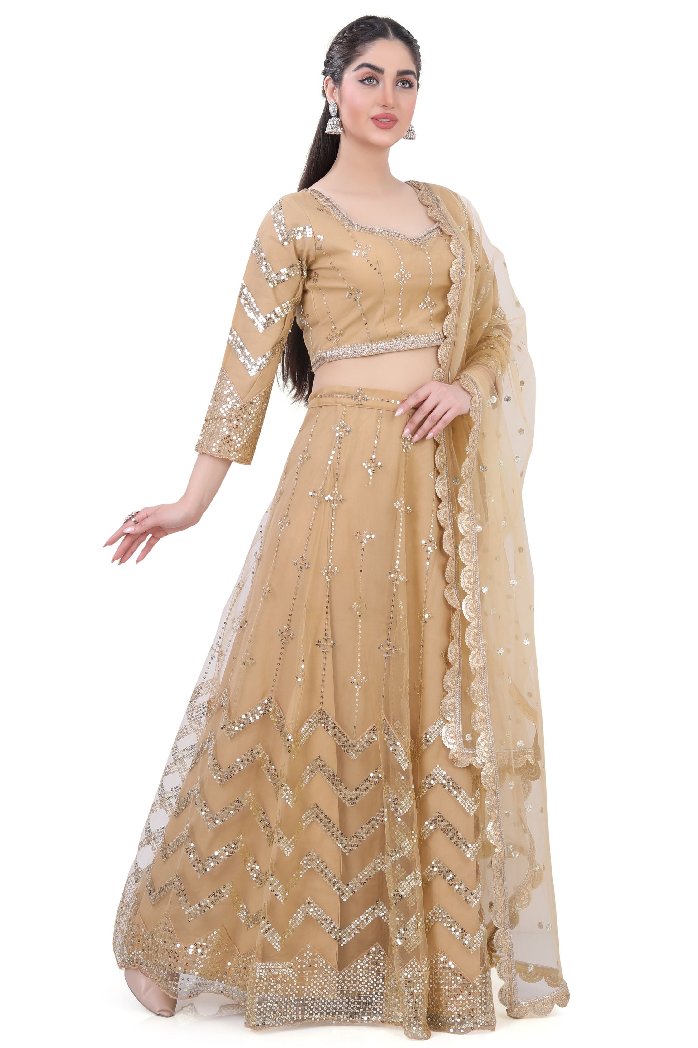 Gold Net Lehenga Choli