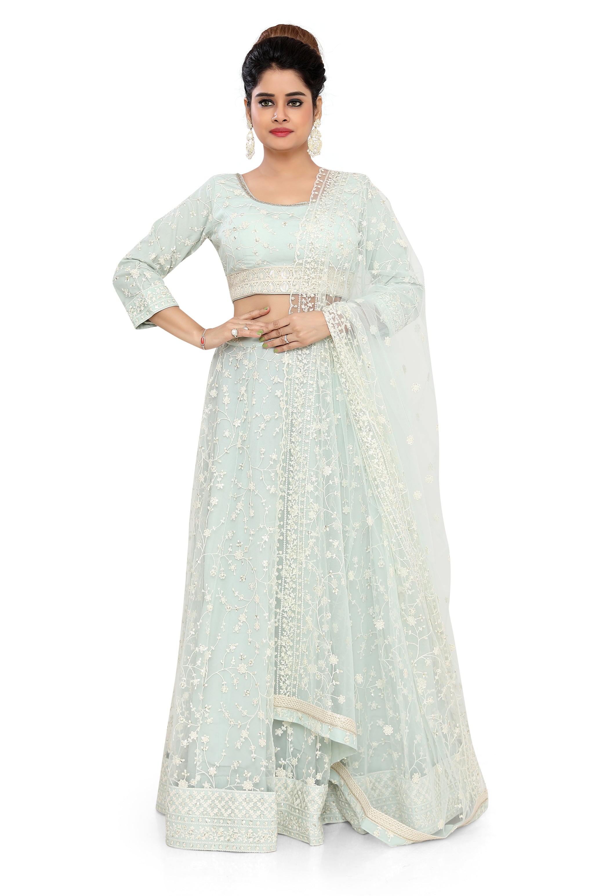 Sea  Green Embroidered Net Lehenga Choli