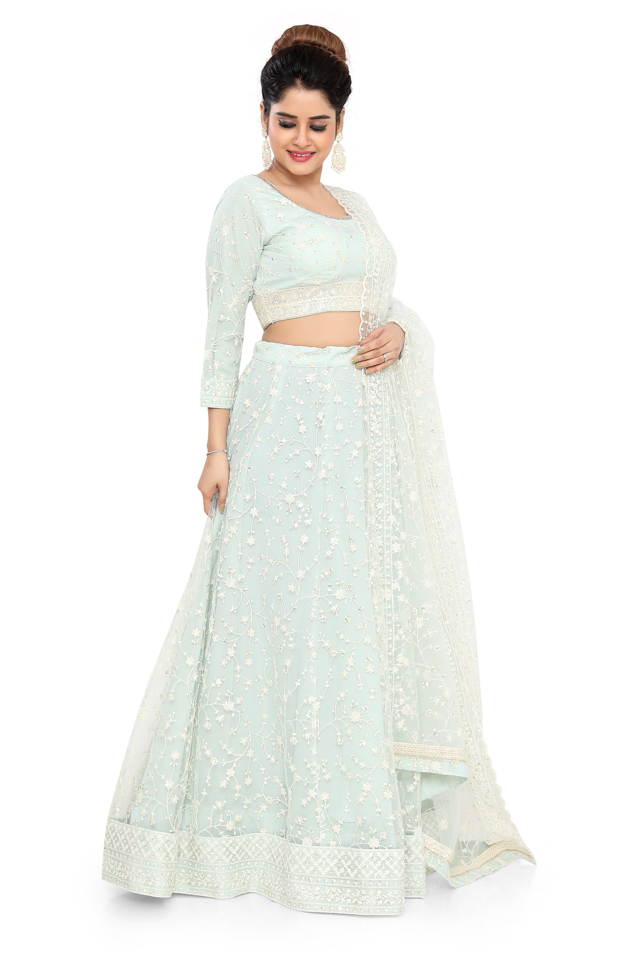 Sea  Green Embroidered Net Lehenga Choli