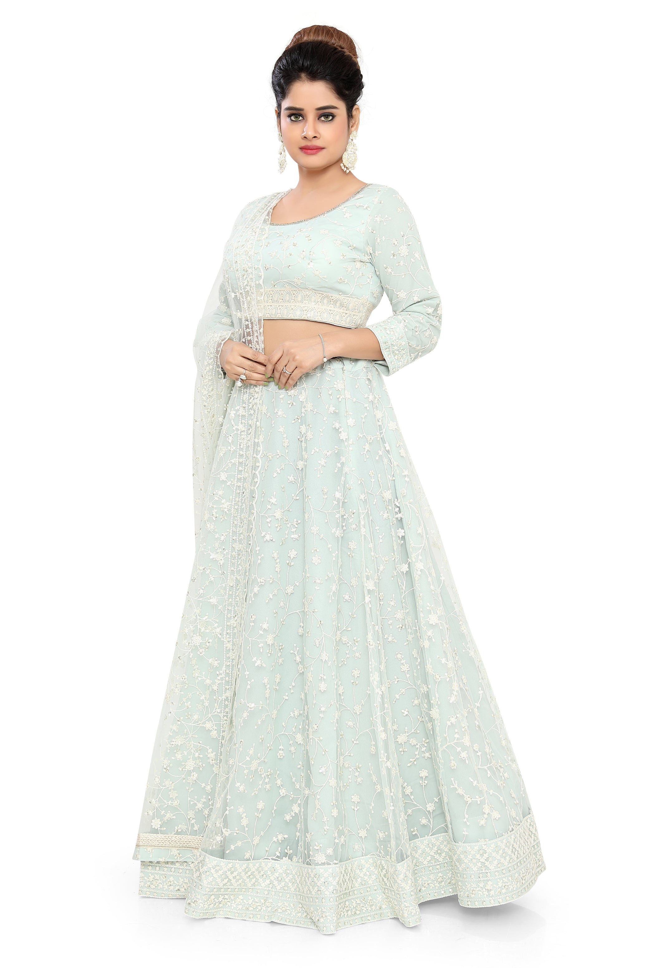 Sea  Green Embroidered Net Lehenga Choli