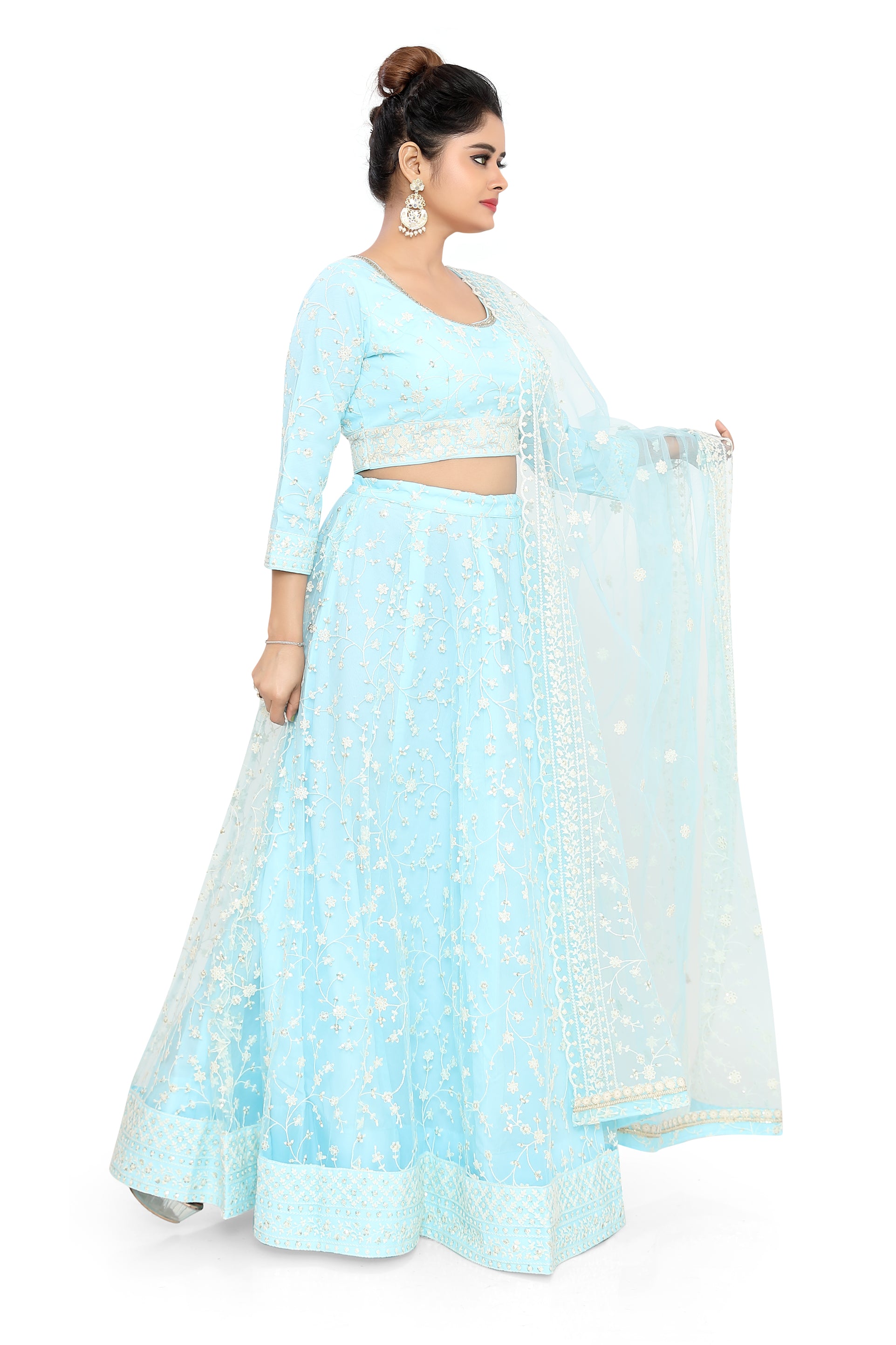 Blue Embroidered Net Lehenga Choli