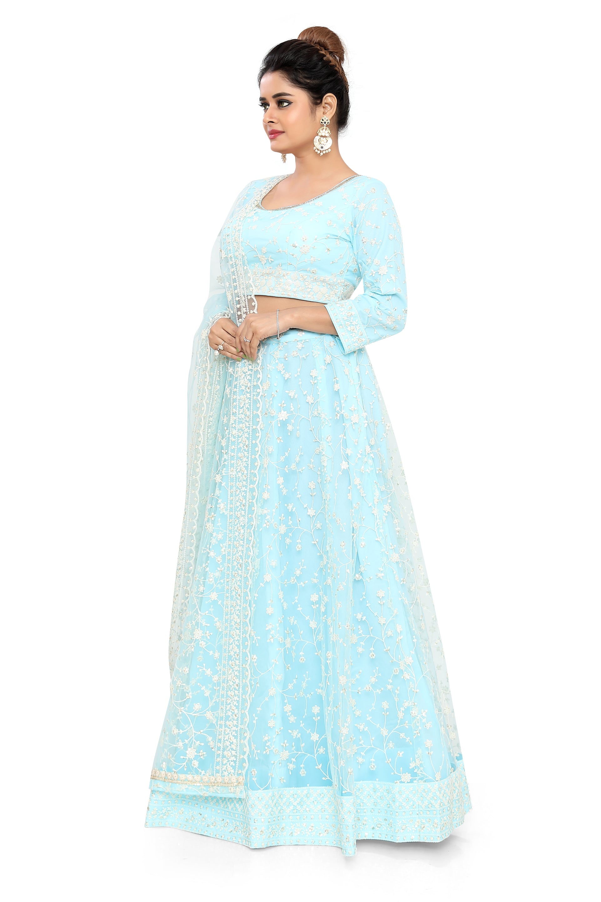 Blue Embroidered Net Lehenga Choli