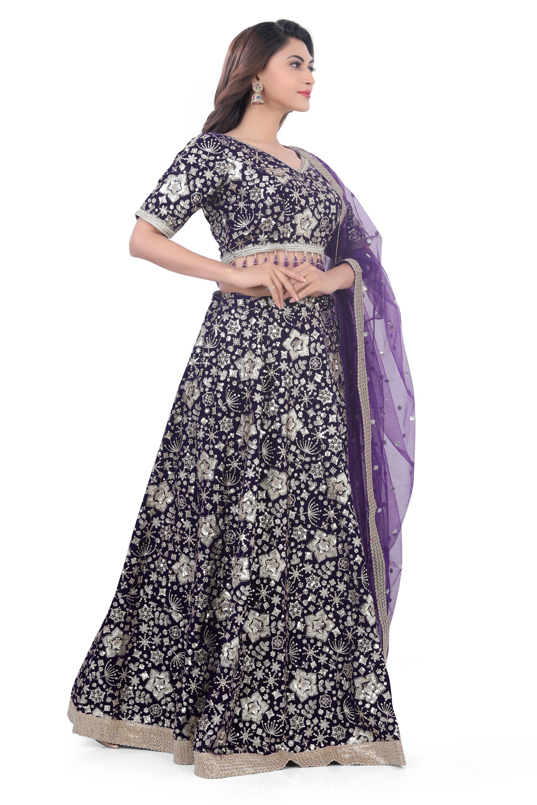 Violet-Jaal Embroidery Lehenga Choli