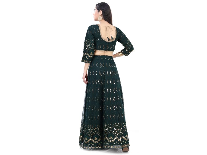 Net Lehenga Choli-Green