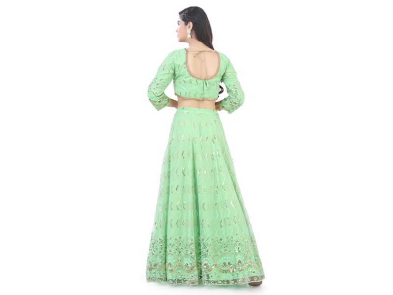 Net  Lehenga Choli-Light Green