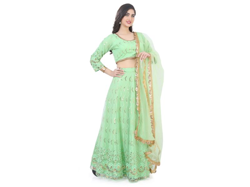 Net  Lehenga Choli-Light Green