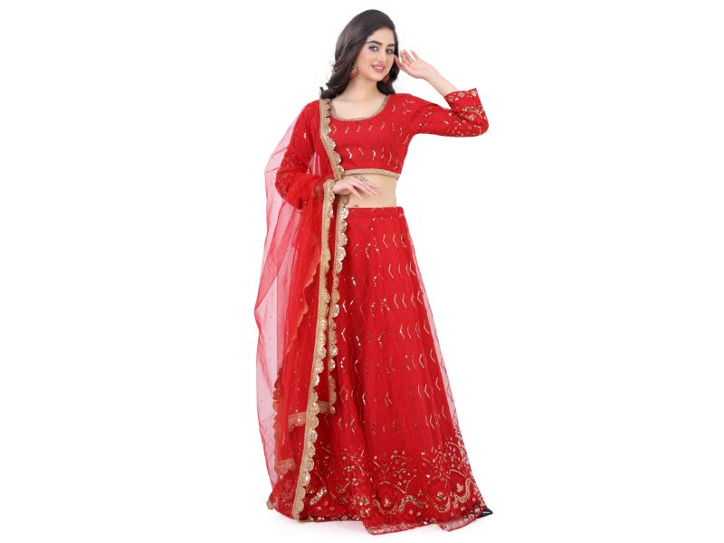 Net Lehenga Choli-Red