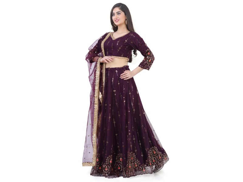 Net Lehenga Choli-Wine Color