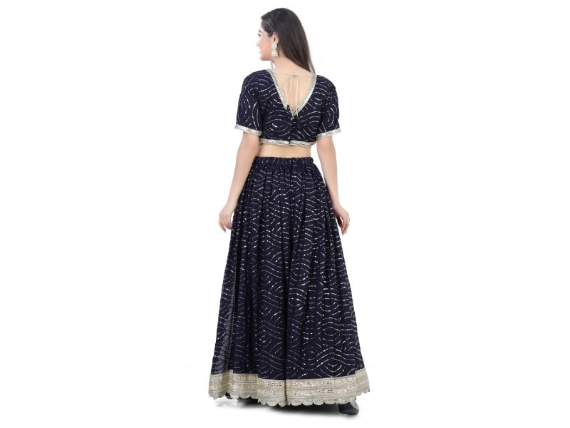 Navy Blue Embroidered Lehenga Choli