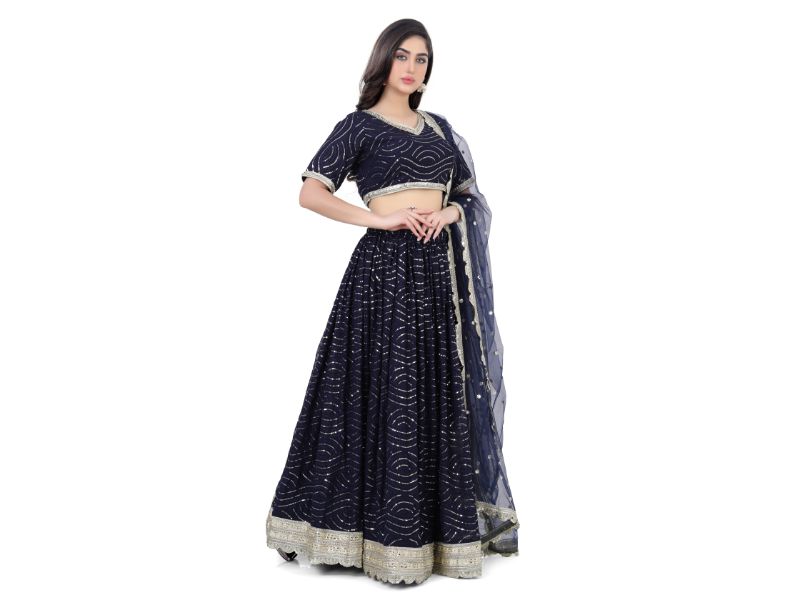 Navy Blue Embroidered Lehenga Choli