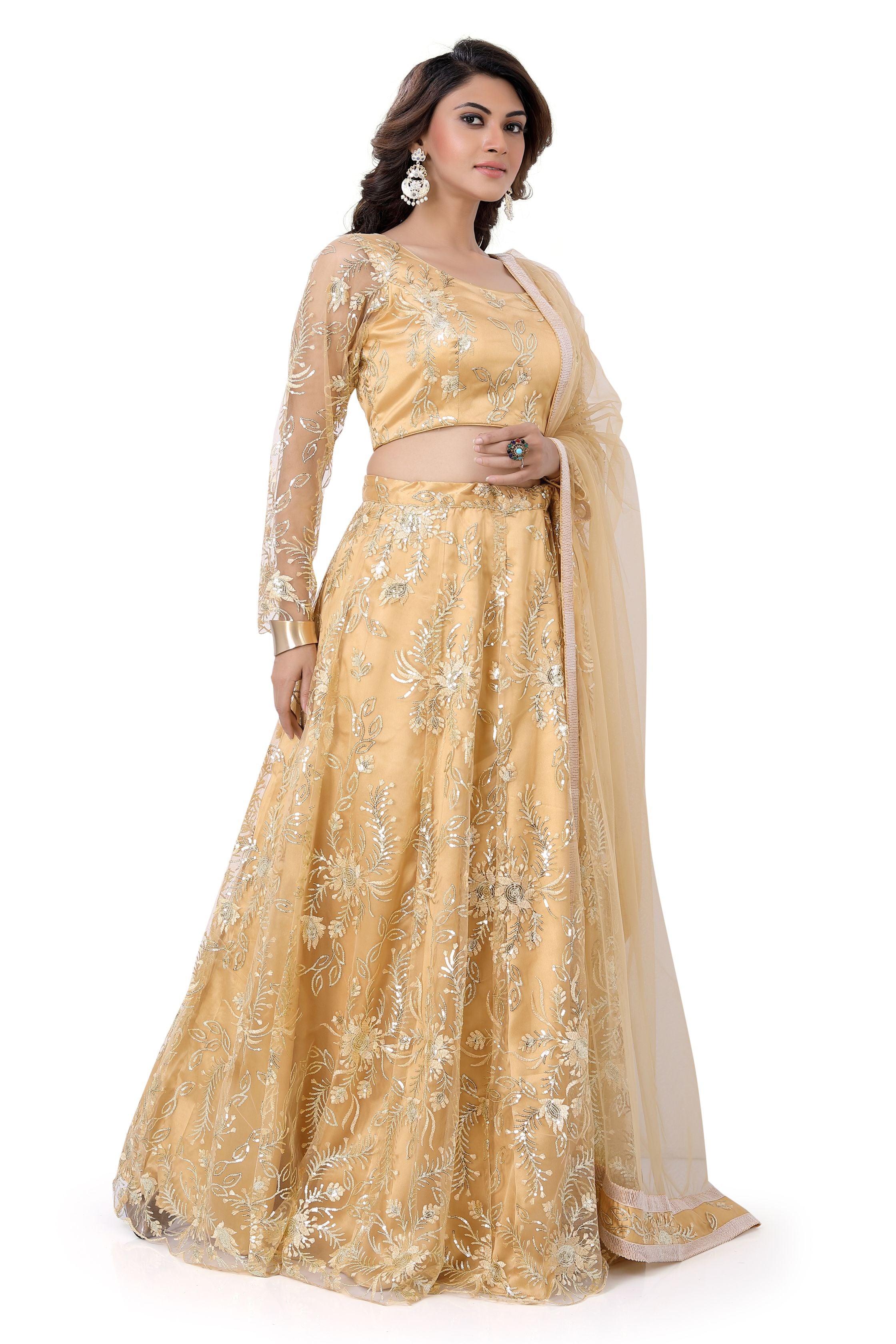 Beige Net Lehenga Choli