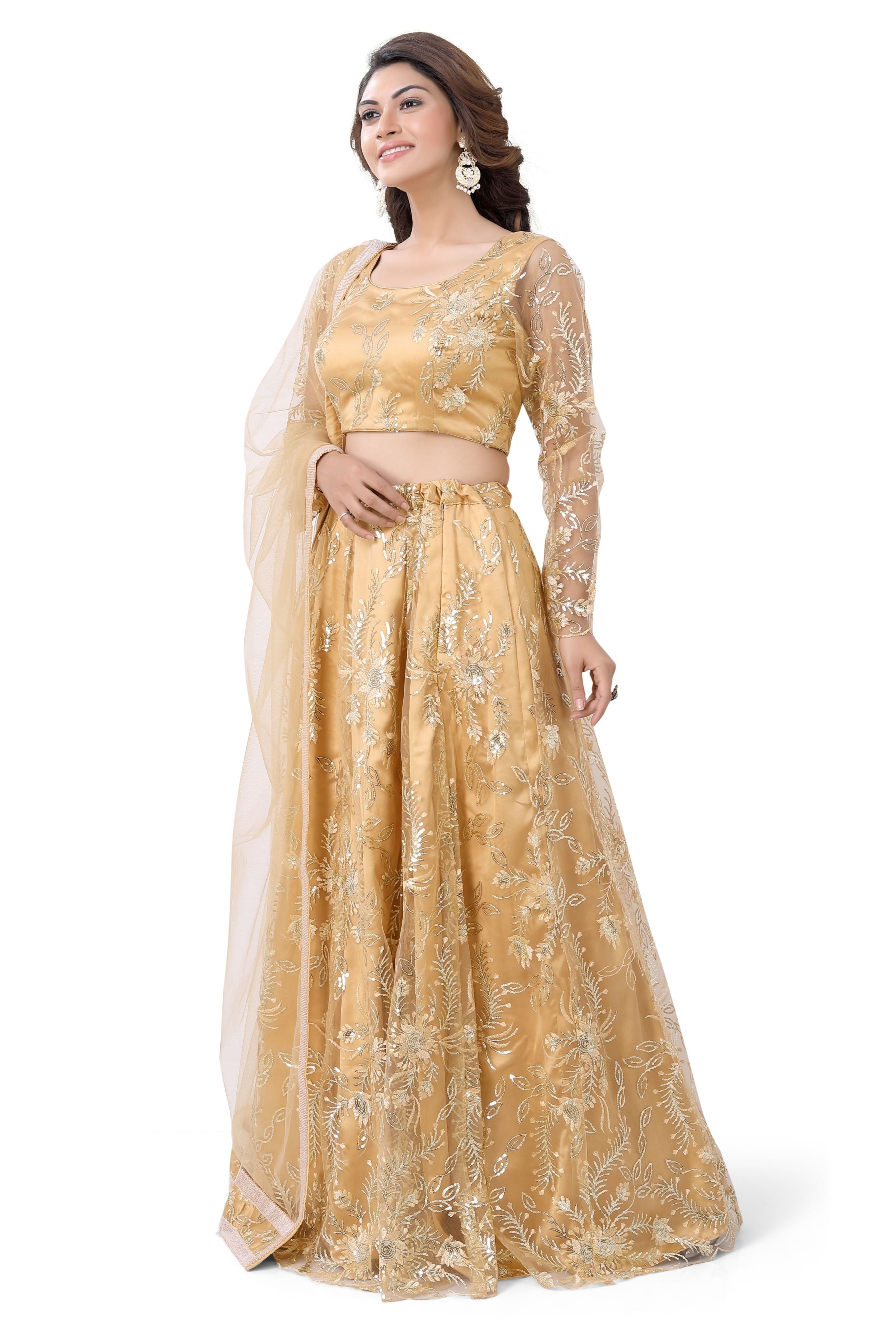 Beige Net Lehenga Choli