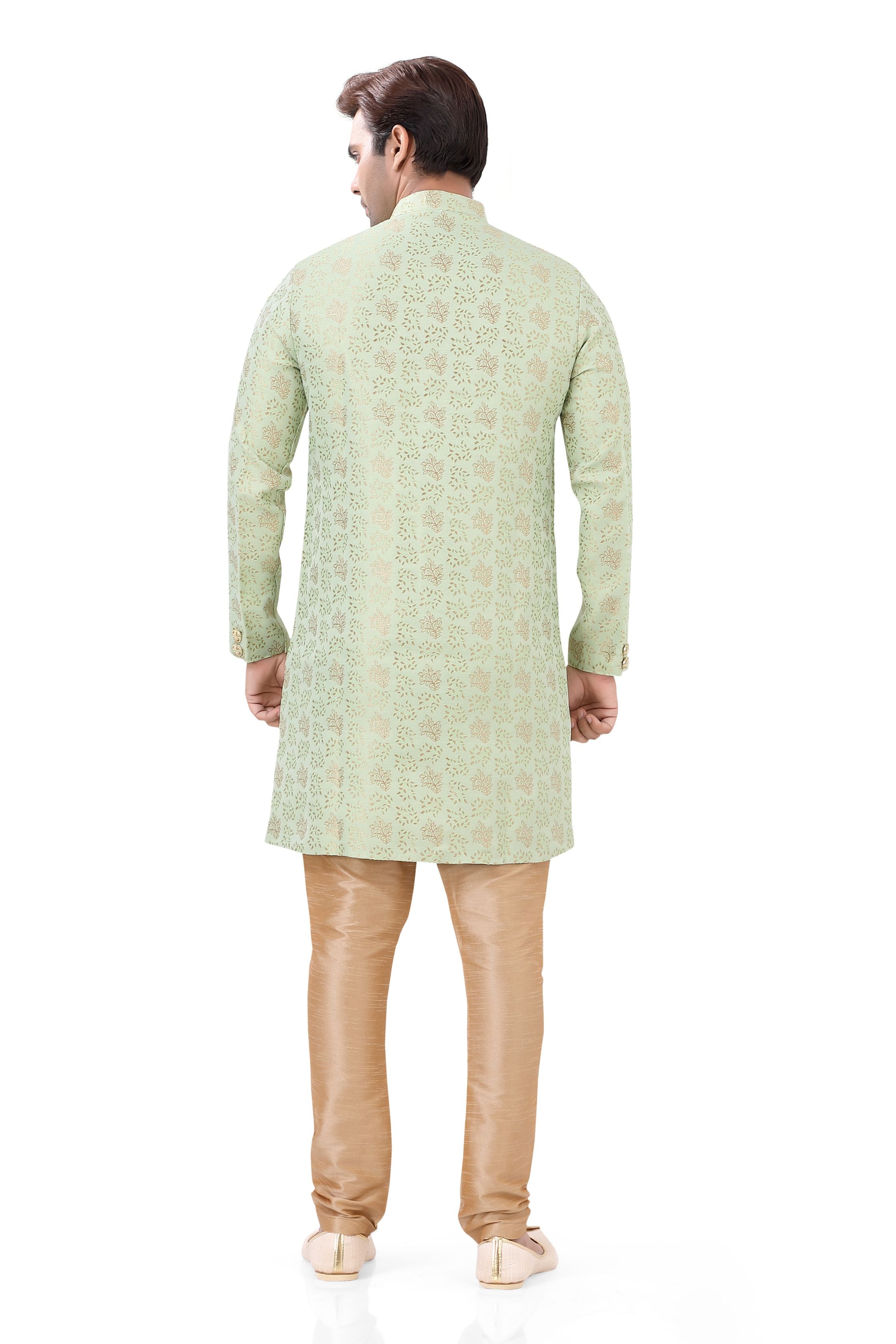 Jamevaram Indo Western in Light Green